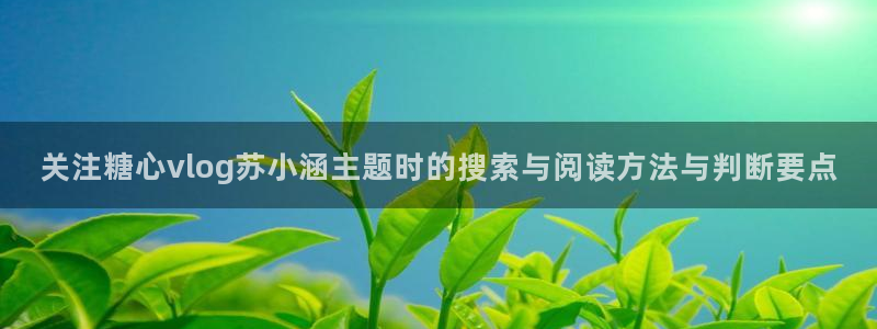 糖心vlog工作室