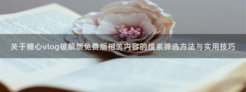 糖心的vlog日常免费观看:关于糖心vlog破解版免费版相关内容的搜索筛选方法与实用技巧