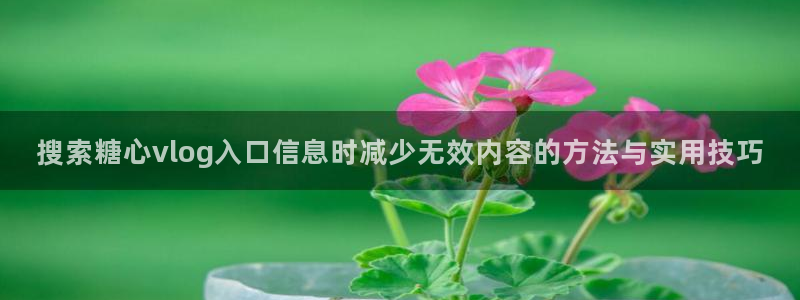糖心vlog官网入口地址