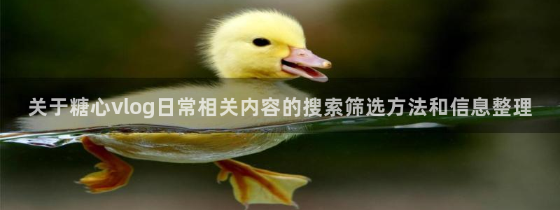 糖心vlog免费高清观看