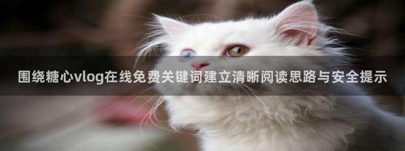 破解版糖心:围绕糖心vlog在线免费关键词建立清晰阅读思路与安全提示