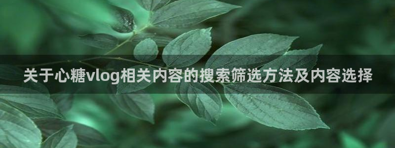 糖心vlog免费视频:关于心糖vlog相关内容的搜索筛选方法及内容选择