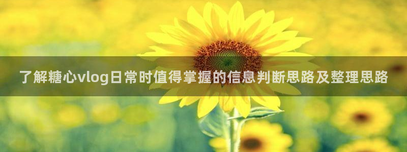 糖心vlogapp官网：了解糖心vlog日常时值得掌握的信息判断思路及整理思路