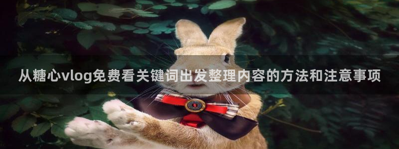 糖心vlog正版